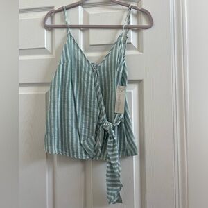 Blue and white tank from Lizard Thicket